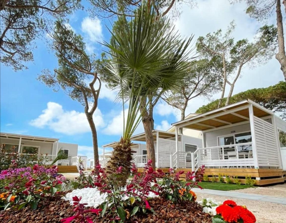 Anxur Village Camping Terracina Ngoại thất bức ảnh
